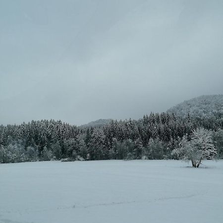 Schwarzwald Appartement Steinen  Exteriör bild