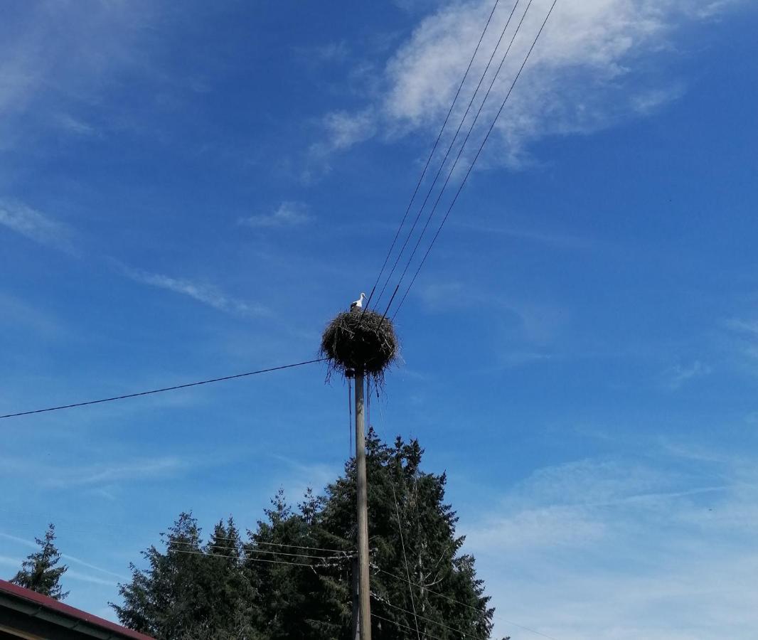 Schwarzwald Appartement Steinen  Exteriör bild