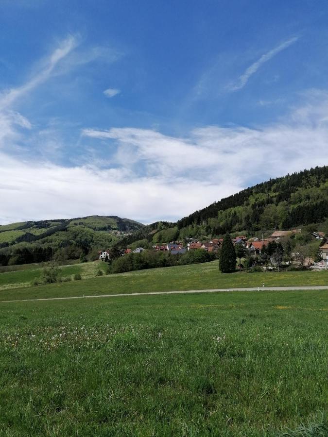 Schwarzwald Appartement Steinen  Exteriör bild