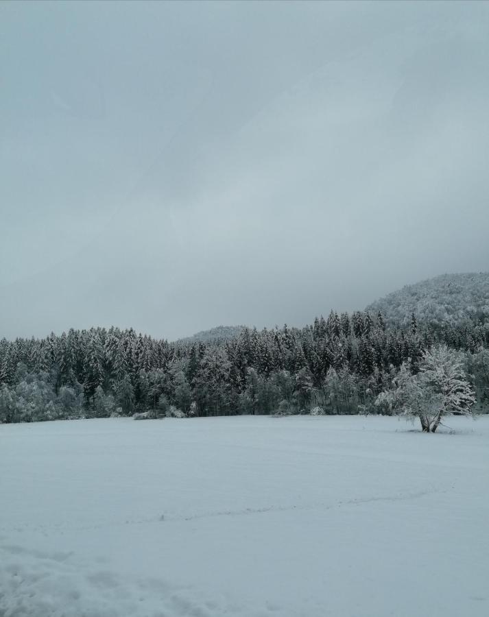 Schwarzwald Appartement Steinen  Exteriör bild