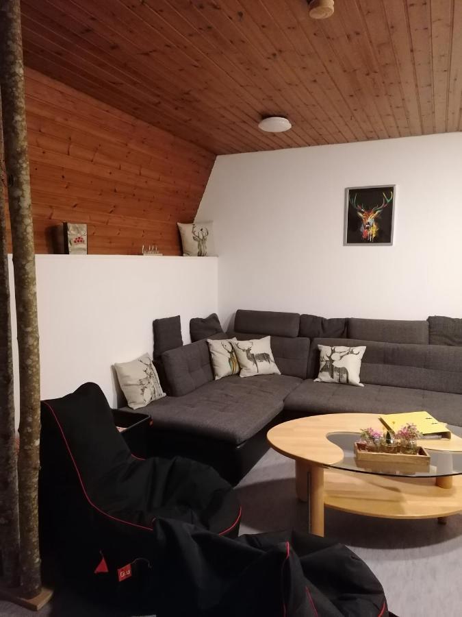 Schwarzwald Appartement Steinen  Exteriör bild