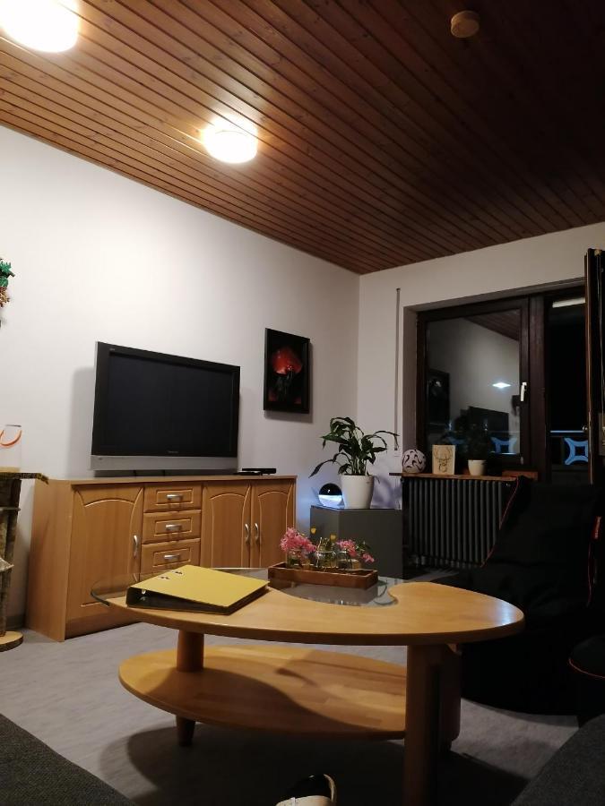 Schwarzwald Appartement Steinen  Exteriör bild